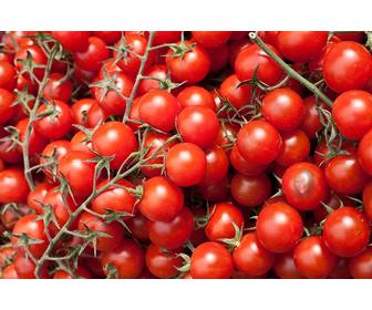 jeu educatif ou vous placez une image dans une tomate pour les enfants dquotapprendre manger des legumes dquotune maniere amusante