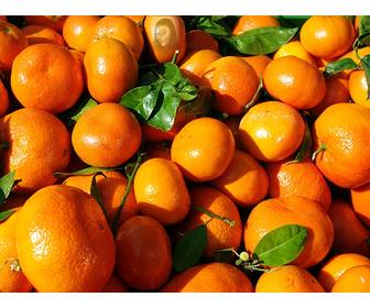 jeu educatif ou vous devez trouver un visage dans une orange et apprendre manger sainement