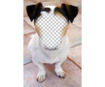 photomontage dun chien ou vous pouvez placer votre visage et gratuitement