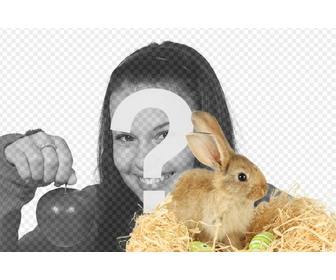 photomontage avec un lapin et oeufs paques pour ajouter vos photos ligne et gratuit
