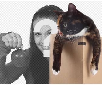 photomontage mettre un chat dans une boite dans une vos photos