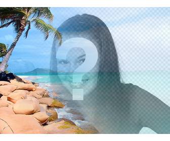 collage avec une plage paradisiaque avec une eau bleue et palmiers pour mettre votre photo et personnaliser avec du texte