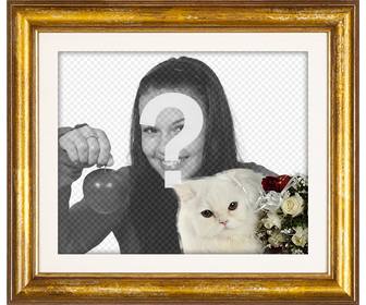 cadre photo or avec un chat persan blanc et des roses rouges et blanches pour mettre votre photo damour avec votre copain ou copine