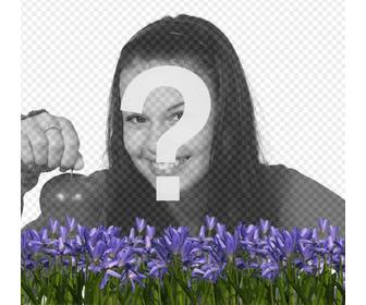 creer un avatar pour twitter ou facebook avec des fleurs lilas sur votre photo profil ligne et gratuit