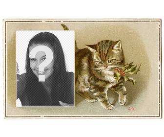 carte noel avec le millesime chat brun dessine avec un houx dans bouche et une boite dans laquelle placer une photo