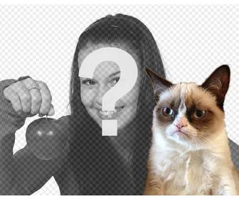 photomontage avec grumpry chat meme qui est devenu celebre partout sur internet