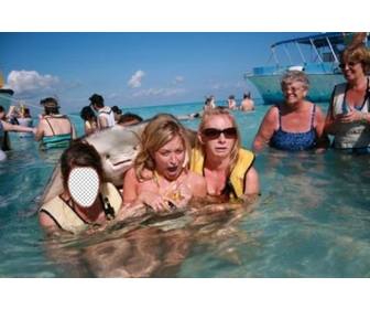 photomontage avec galuchat effrayer certaines filles dans mer