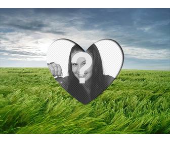 amour photoframe mettre un coeur romantique forme dimage sur un paysage avec un champ ble vert et bleu ciel