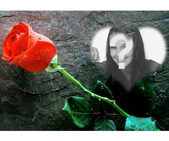 mettez une photo linterieur dun coeur avec une rose cote cet effet photo damour vous pouvez envoyer comme carte postale