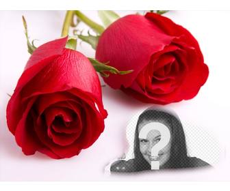 carte postale lamour avec deux roses et un cadre photo dans lequel mettre une photo