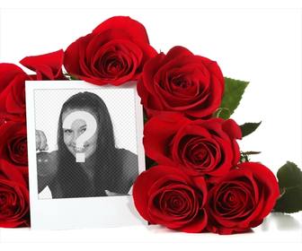 cadre photo ligne entouree dun bouquet roses