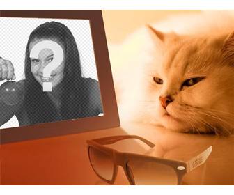photomontage dun chat sennuie voir votre photo dans lequel vous mettez limage vous voulez