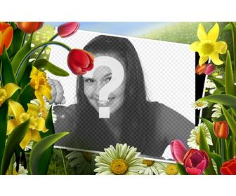 cadre photo avec des dessins fleurs et plantes printemps