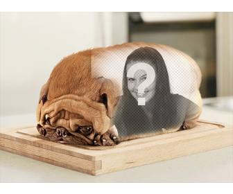 chien forme pain avec le mettre vos photos photomontage