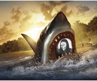 photomontage mettre les machoires dun grand requin blanc telechargez photo et