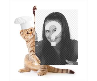 photomontage avec un chat habille chef tenue votre image