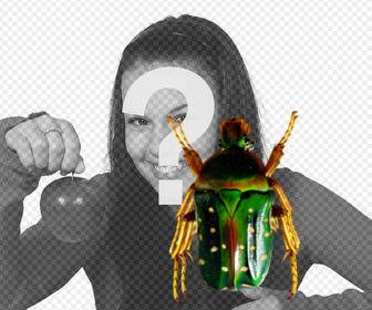 autocollant avec un coleoptere vert pour mettre dans vos photographies phasmes