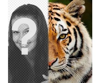 photomontage davoir moitie son visage comme un tigre