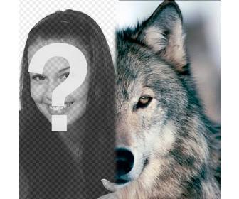 photomontage mettre un visage loup cote vous remplir votre moitie