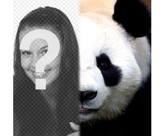 transformez votre moitie panda visage avec ce photomontage