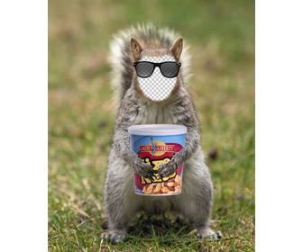 placez votre visage dans un ecureuil avec des lunettes soleil hipster et une boite darachides