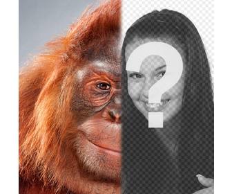 montage photo avec moitie votre visage transforme un orang-outan