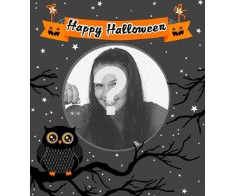 cadre photo halloween avec un hibou