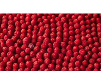 jeu pour votre image avec une pile framboises