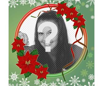 cadre photo orne fleurs noel cadre rond pour des photos avec poinsettia et flocons neige vous pouvez modifier telechargeant photo votre ordinateur ou mobile et avoir un beau bord decorer vos photos noel ce photomontage ajustement parfait comme votre photo profil sur vos reseaux sociaux