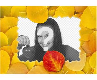 photomontage dun cadre photo avec des feuilles seches