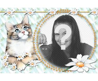 photomontage mettre votre photo avec un chaton tres mignon