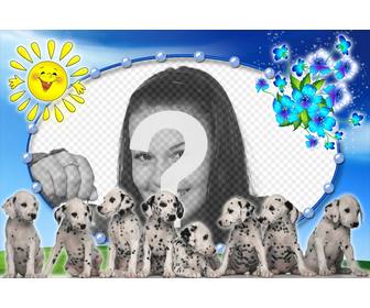 photomontage avec chiots dalmatiens et fond photo