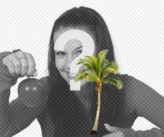 mettez un palmier sur vos photos et cree un effet vous etes sur une plage des caraibes