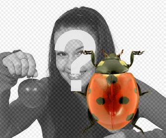 photomontage pour mettre une coccinelle dans vos photos