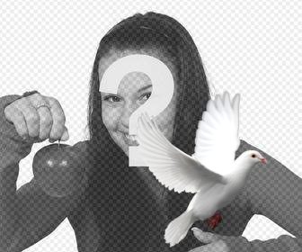 colombe blanche volante vous pouvez mettre dans vos photos avec notre editeur autocollants mettez le