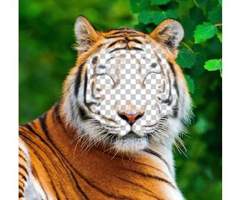 photomontage dun tigre telecharger votre photo sur son