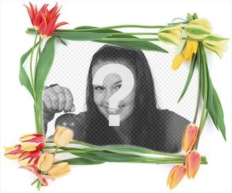 cadre photo avec des fleurs printemps pour vos photos