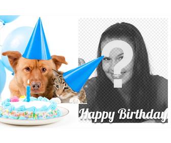 carte danniversaire douce avec un chien et un chat pour une image