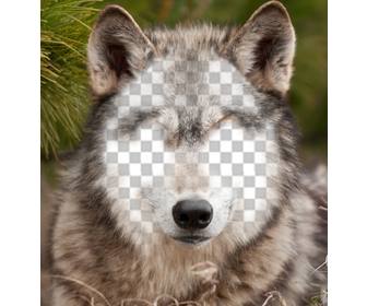 placez votre visage sur un loup avec cette photo effet
