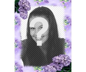 fleurs violettes pour decorer vos photos avec cet effet