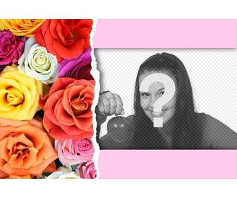 postal roses colorees carte pour effectuer un detail photo speciale pour saint valentin