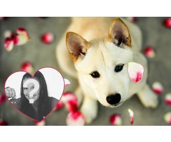 effet photo mignon pour ajouter votre photo dans un coeur avec un chiot photomontages ligne vous pouvez utiliser comme photo couverture ou vous pouvez ajouter votre photo linterieur dun coeur avec un chien mignon et petales rose un effet libre tres mignon pour les amateurs chiens