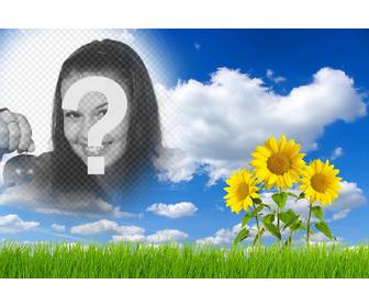 ligne effet modifier et dajouter votre image dans un paysage avec les marguerites