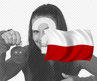agitant le drapeau pologne vous pouvez coller dans vos photos pour autocollant ligne et decoratif