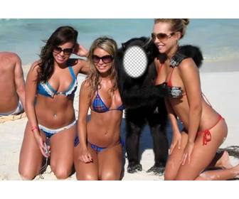 creer ce photomontage detre un singe avec trois filles maillot bain