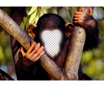 effet amusant mettre votre visage singe ligne