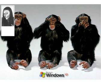 singes faisant des signes ne pas ecouter ne pas voir ne pas entendre mettre un fond pour twitter avec votre photo