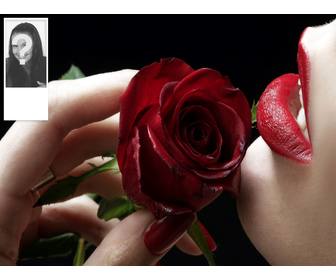 romantique fond twitter avec une rose rouge personnalisable avec votre propre photo