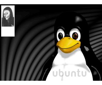 contexte pour twitter mascotte linux tux ou vous pouvez mettre votre photo