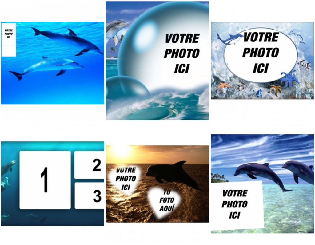 Cadres pour photos de dauphins et de la mer